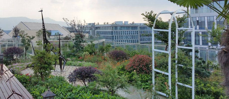 南京萬通城市建設設計院弱電系統(tǒng)項目案例。